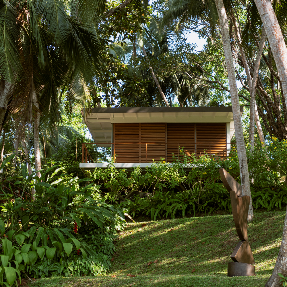 Copy of TREEHOUSE (1)